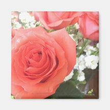 Magnet de Rosas hermosos