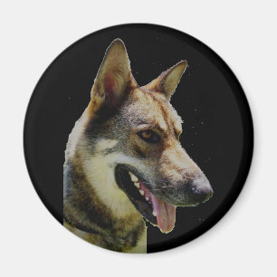 Imán Magnet de Shepard