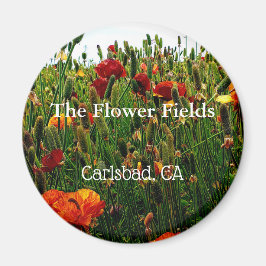 Imán Magnet de souvenirs, The Flower Field, Carlsbad, C