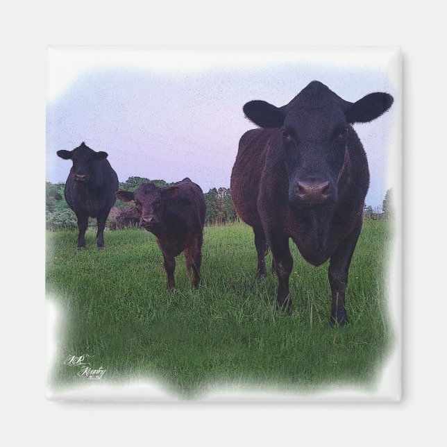 IMÁN ¡MAGNET DE VACAS! (Frente)