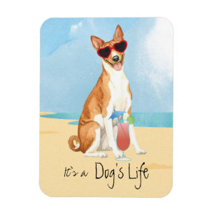 Imán Magnet de verano Basenji