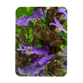 Imán Magnet - Dedo azul