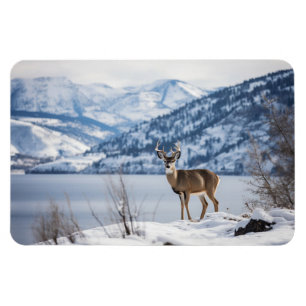 Imán Magnet-Deer
