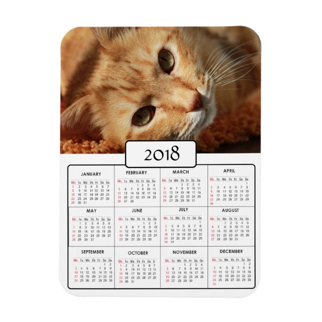 Imán Magnet del calendario de fotos personalizadas de g (Vertical)