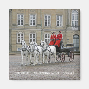 Imán ¡Magnet del Palacio de Copenhague/Amalienborg!