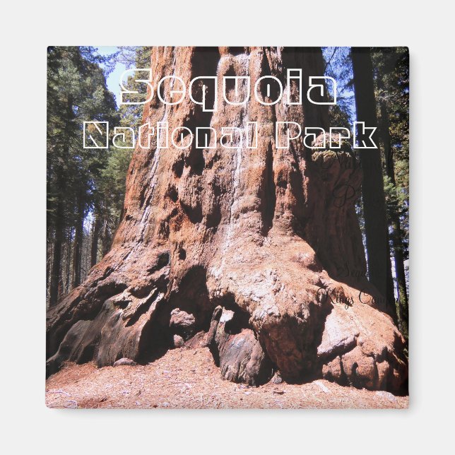 Imán Magnet del Parque Nacional del Cañón Sequoia/Kings (Frente)