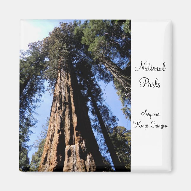 Imán Magnet del Parque Nacional del Cañón Sequoia/Kings (Frente)