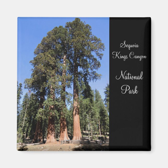 Imán Magnet del Parque Nacional del Cañón Sequoia/Kings (Frente)