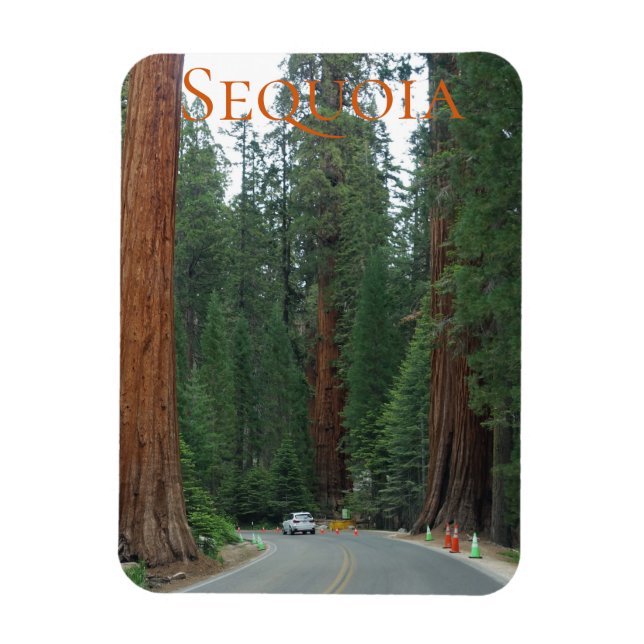 Imán Magnet del Parque Nacional del Cañón Sequoia/Kings (Vertical)