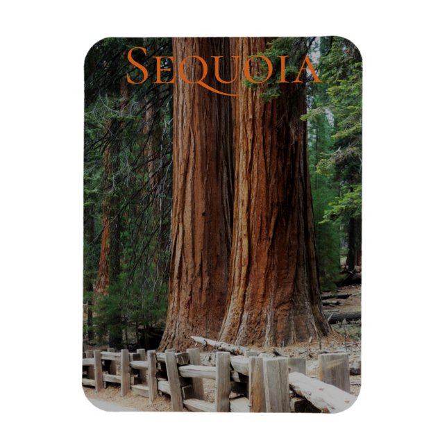 Imán Magnet del Parque Nacional del Cañón Sequoia/Kings (Vertical)
