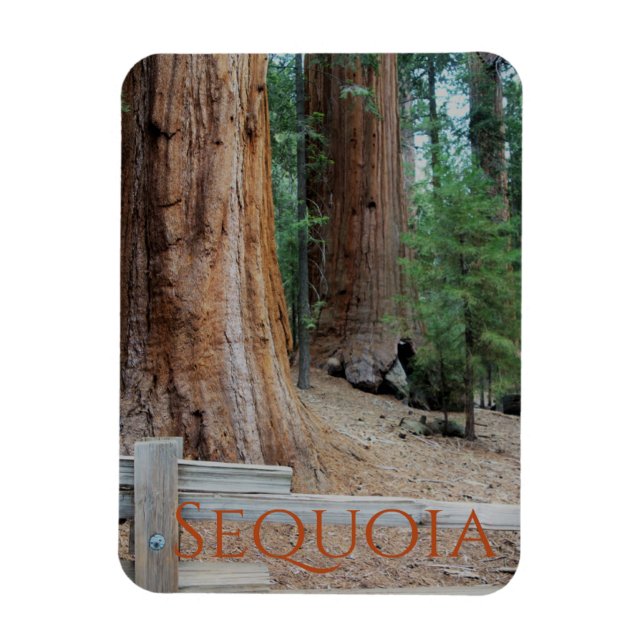 Imán Magnet del Parque Nacional del Cañón Sequoia/Kings (Vertical)