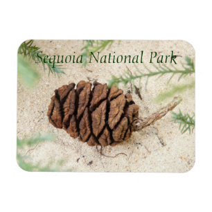 Imán Magnet del Parque Nacional Sequoia