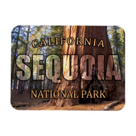 Imán Magnet del Parque Nacional Sequoia