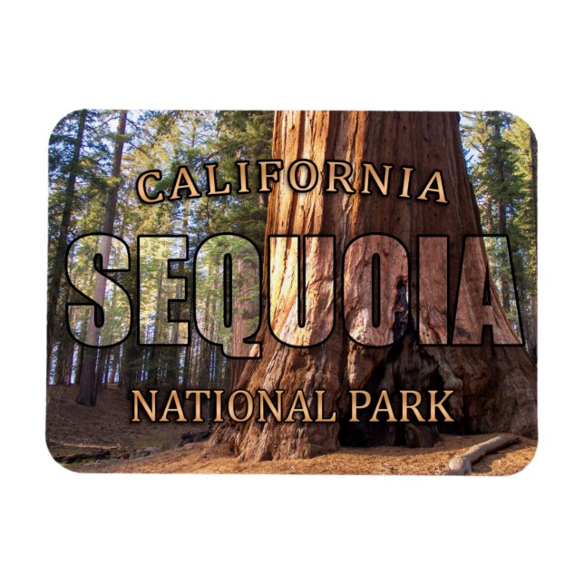 Imán Magnet del Parque Nacional Sequoia (Horizontal)