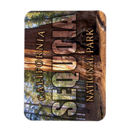 Imán Magnet del Parque Nacional Sequoia