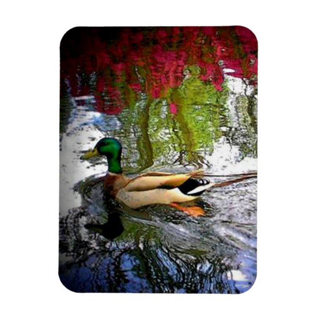 Imán Magnet-Design de mallard duck 2 (Vertical)