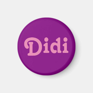 Imán Magnet Didi