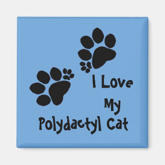 Imán Magnet - Dos Pawprints polidáctil