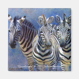 Imán Magnet "Eavesdropper"