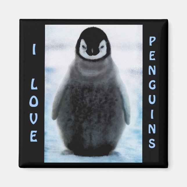 Imán Magnet, el Bella Artes amante del pingüino (Frente)