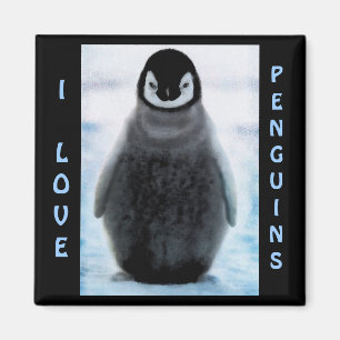 Imán Magnet, el Bella Artes amante del pingüino