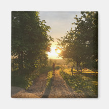 MAGNET - ESPERANZA EN EL SOL