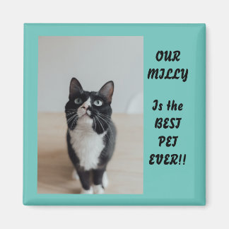 Imán Magnet fotográfico personalizado mejor Mascota de