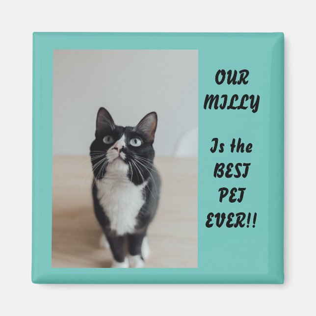 Imán Magnet fotográfico personalizado mejor Mascota de  (Frente)