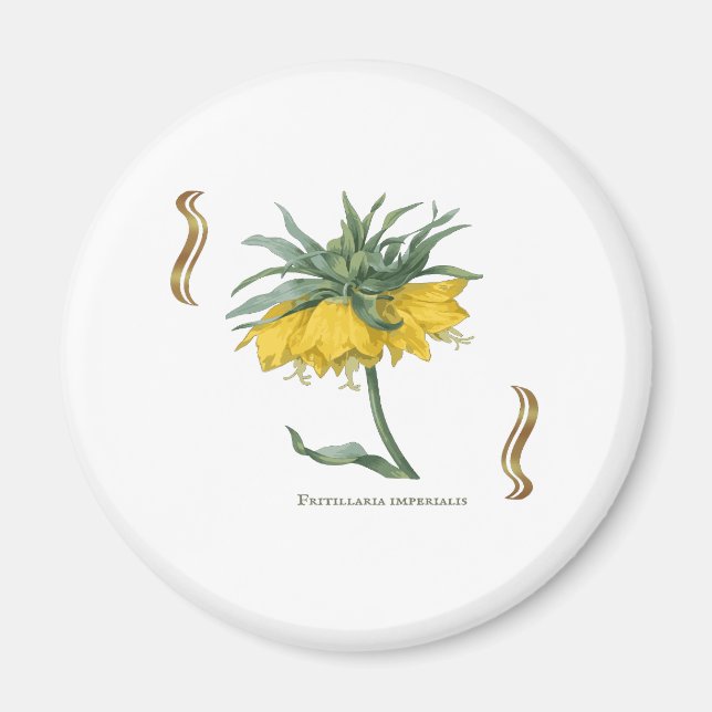 Imán Magnet Fritillaria imperialis -couronne impériale (Frente)