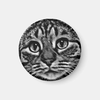 Imán Magnet - General Tso, Negro y Blanco