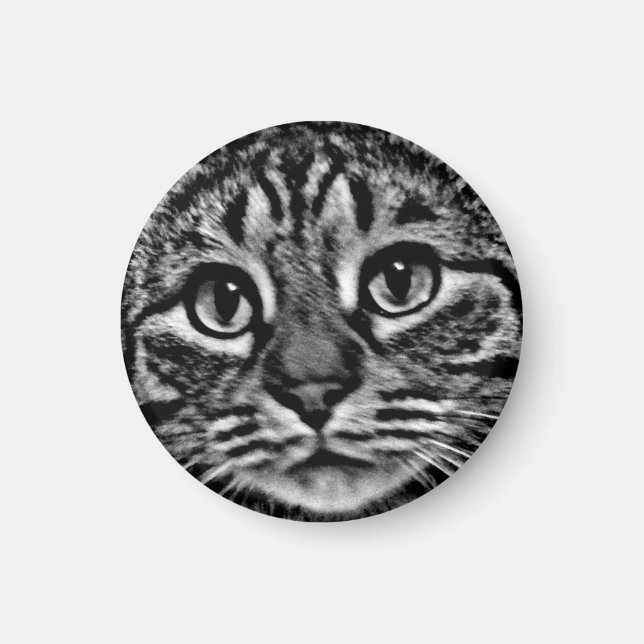 Imán Magnet - General Tso, Negro y Blanco (Frente)