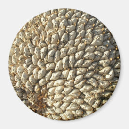 Imán Magnet - Geometría de girasol