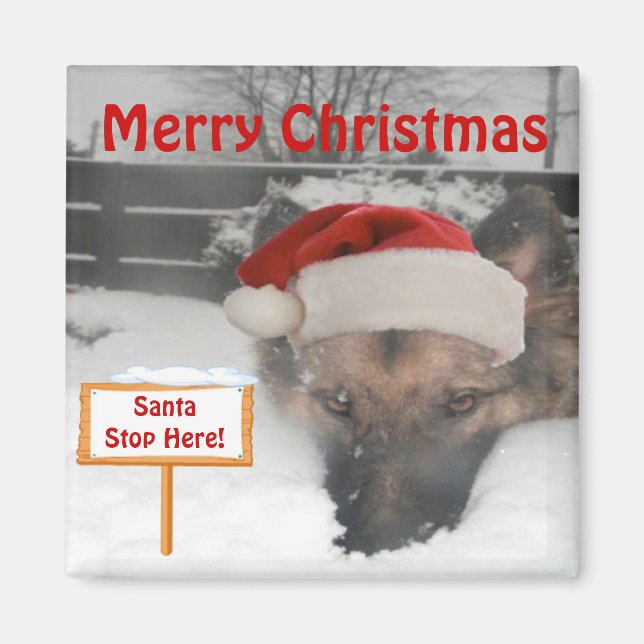 Imán Magnet German Shepherd Santa Stop Aquí Rótulo (Frente)