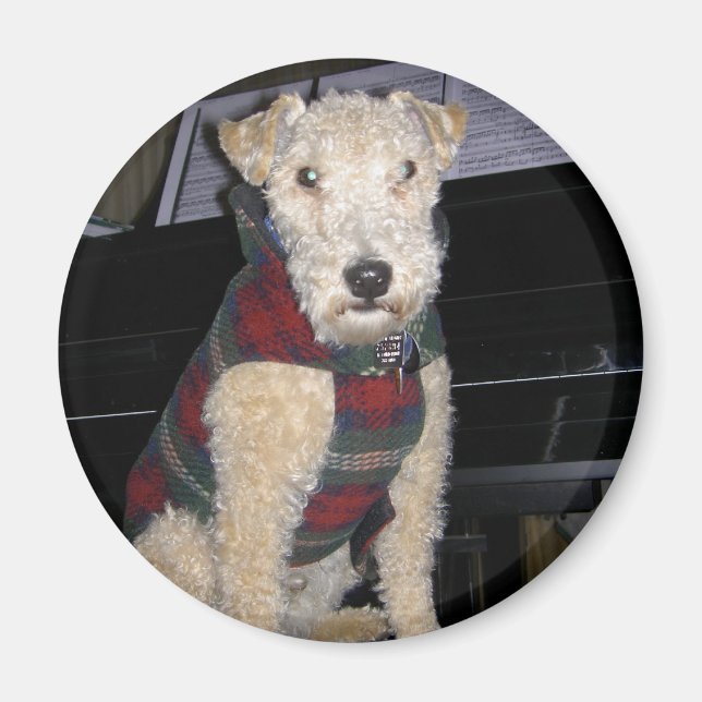 Imán Magnet Groupie (Frente)