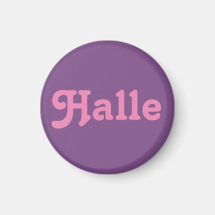 Imán Magnet Halle