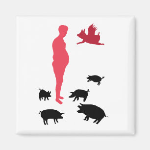 Imán Magnet Happy Meal Vegeteriano