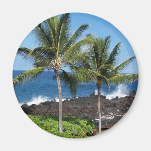 Imán Magnet hawaiano