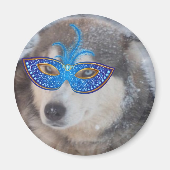 Imán Magnet Husky Blue Eyes Mardi Gras (Frente)