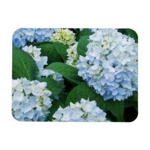 Imán Magnet Hydrangea