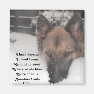 Imán Magnet I Have Dreams Poema De Ladee Basset