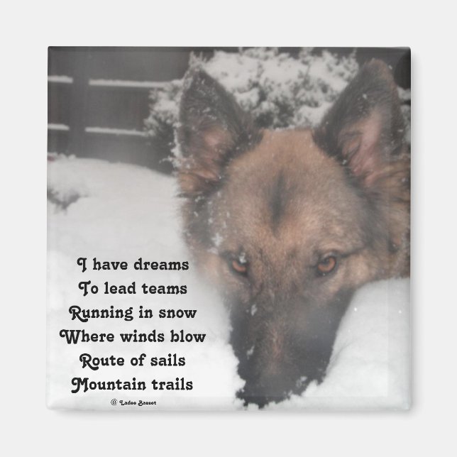 Imán Magnet I Have Dreams Poema De Ladee Basset (Frente)