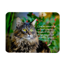 Magnet Inspirador Maine Coon Cat