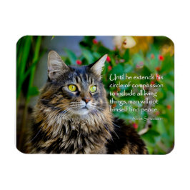 Imán Magnet Inspirador Maine Coon Cat