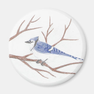 Imán Magnet Jay Azul