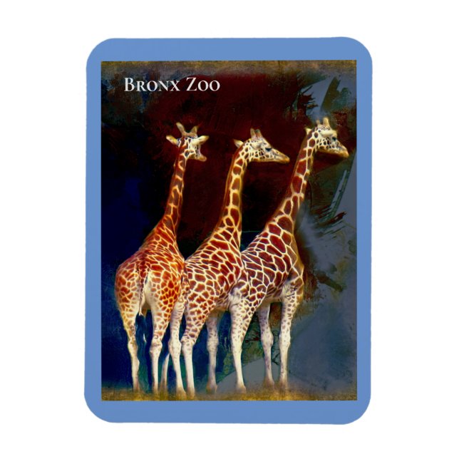 Imán Magnet - las jirafas en el zoológico del Bronx (Vertical)