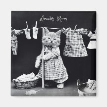 Magnet, lavandería colgante de gatos