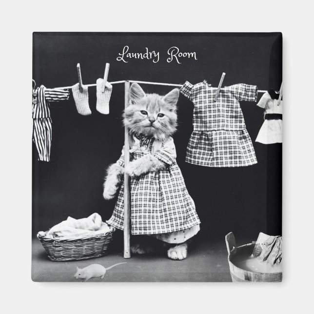 Imán Magnet, lavandería colgante de gatos (Frente)