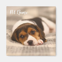 Magnet Mascota personalizable con foto y nombre