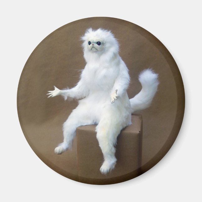 Imán Magnet Meme de Room Guardian (Frente)