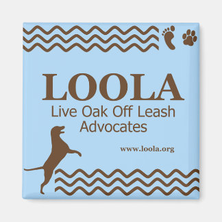 Imán Magnet Metalizado de Square LOOLAorg